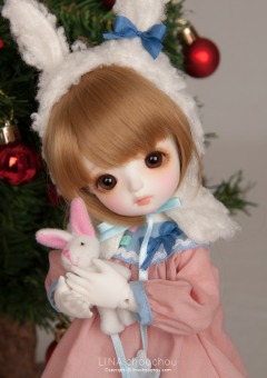 Snow rabbit..Piyo